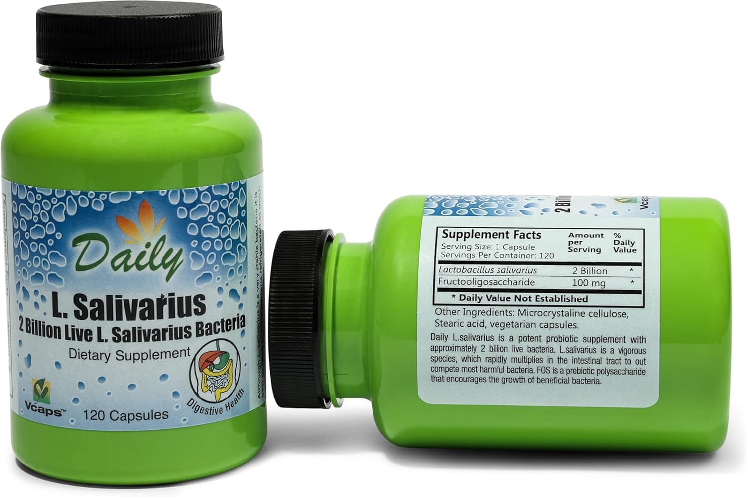 Daily Manufacturing L-Salivarius (Probiotic)