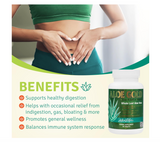 Aloe Life - Aloe Gold Tablets, Immune Support & Healthy Herbal Bitters, Supports Proper Digestion, Promotes Energy & Body Wellness, Certified Organically Grown Whole Leaf Aloe Vera Leaves