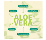 Aloe Life - Aloe Gold Tablets, Immune Support & Healthy Herbal Bitters, Supports Proper Digestion, Promotes Energy & Body Wellness, Certified Organically Grown Whole Leaf Aloe Vera Leaves